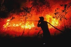 PM discusses issue of forest fires with Prabowo