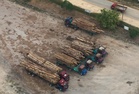 RM1.425 million worth of machinery, timber seized in Sawmill raid