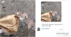 Kind M’sian Woman Refuses to Let Delivery Rider Pay for Spilt RM20 Drink Order, Coffee Brand Responds