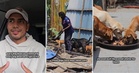 Elderly M’sian Woman Caring for Over 50 Strays Evicted from KL Land, Seeks Help to Save the Dogs