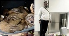 KLIA Officers Thwart Wildlife Smuggling Attempt, Rescue 6 Live Gibbons Stuffed in Luggage