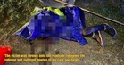 23yo Man Killed in Hit-and-Run While Putting Up Flags for N9 State Election, Suspect Still on the Loose