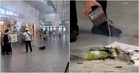 Power Bank Explodes Inside Traveller’s Bag at KLIA2, Oriental Kopi Staff Step In to Put Out Fire