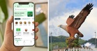 Order, Ride, Explore: M’sians Can Win a Share of RM100k in Flight Credits With Grab This Merdeka
