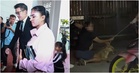 Rocky Court Case: Owner Faces Another Charge For Allegedly Keeping Dog Without Valid Licence