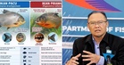 Fisheries DG: Klau Dam Fish Matches Piranha Characteristics, But No Evidence Of Established Population