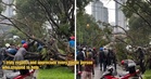 “They didn’t even know each other” – M’sian Praises Motorcyclists For Coming Together To Move Fallen Tree Blocking Road