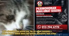 Malaysian Animal Association Calls for Immediate Probe Into Viral Video Allegedly Showing Man Sexually Abusing a Cat