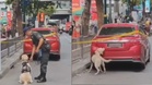 M’sian Couple Questioned in Bangkok After 7 Fuel Cans Containing 40 Litres of Petrol Found in Car