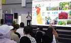 NCER sasar RM470 bilion pelaburan pacu ekonomi Perlis, Kedah, Pulau Pinang dan Perak menjelang 2030