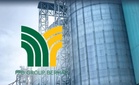 AmInvest: Peningkatan ketara harga gandum jejaskan margin perniagaan tepung PPB