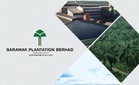 Cuaca kering panjang ancam pengeluaran kelapa sawit Sarawak Plantation pada 2027 - Phillip Capital
