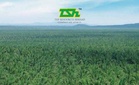 TSH Resources didenda RM42 juta di Indonesia