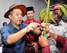 Sabah plans durian board to boost industry without burdening growers