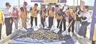 Lions, Leos launch Sabah Blue Economy Initiative