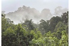 Prioritising sustainable natural resource management