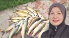 52 out of 652 Sabah tagal areas affected