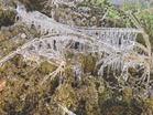 It’s icy cold at the mountain top