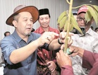 Sabah Durian Board planned