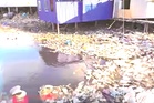 Warisan on threat to Sabah tourism: ‘Our waters filled with trash’