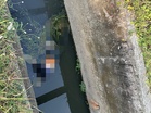 Body found in drain along Jalan Bundusan