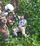 Elderly man injured after van skids off road in Semporna