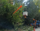 DBKK selenggara 731 pokok, pastikan lampu jalan tidak terlindung