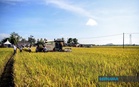 Focus on strengthening food and agro sectors