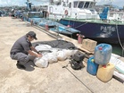 Diesel and cooking oil seizure