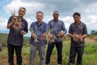 Kundasang berpotensi jadi hab pengeluaran bawang