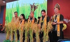 Kaamatan ideal time to revive padi interest