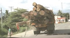 Be strict on oil palm, timber laden lorries