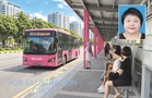 Upgrade public transport, build covered walkways: LDP