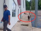 Man confronted over feeding stray dogs in shop-lot area