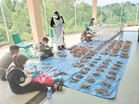 Sabah Wildlife Department listed on CITES Directory