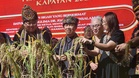 Value farmland, preserve Sabah’s heritage