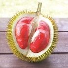 High demand sparks red durian drive in Telupid