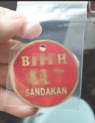 Call for review of terminology on Sandakan dog registration tags