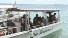 700 tourists ordered to return to Semporna