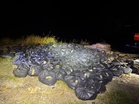 2,380 cooking oil packets seized in suspected smuggling attempt