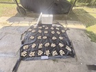 300 Green Turtle eggs seized in Tuaran