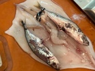 Bought squid, got fish — and plenty of questions