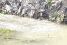 Action urged on water pipe leaks