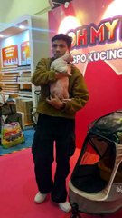 Mark Adam jaga 18 ekor kucing, pilih nama Melayu