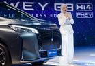 Was Dato Siti Nurhaliza In The Zeekr 7X Or The GWM WEY G9 When The Accident Happened