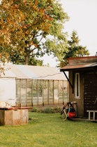 Why Garden Hoses Should Be Drained Before Cold Weather