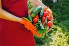 We Compared Grocery Store Prices With Seed Costs — These 7 Crops Look Like Better Deals