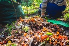 How to Create a Wildlife-Friendly Fall Garden Cleanup