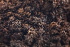 Your Garden Soil Looks Like Coffee Grounds — Here’s Why That May Be Bad News