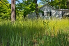 Can You Be Fined for Letting Your Lawn Grow Wild? It Depends on Where You Live